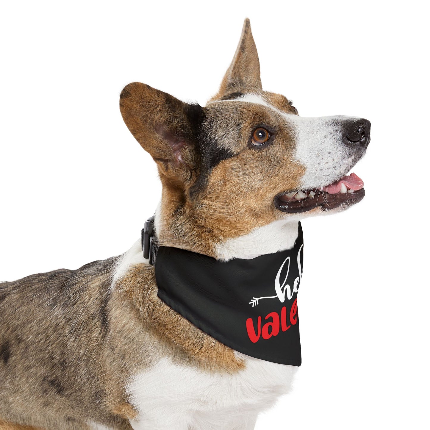 Hello Valentine Dog Bandana Collar
