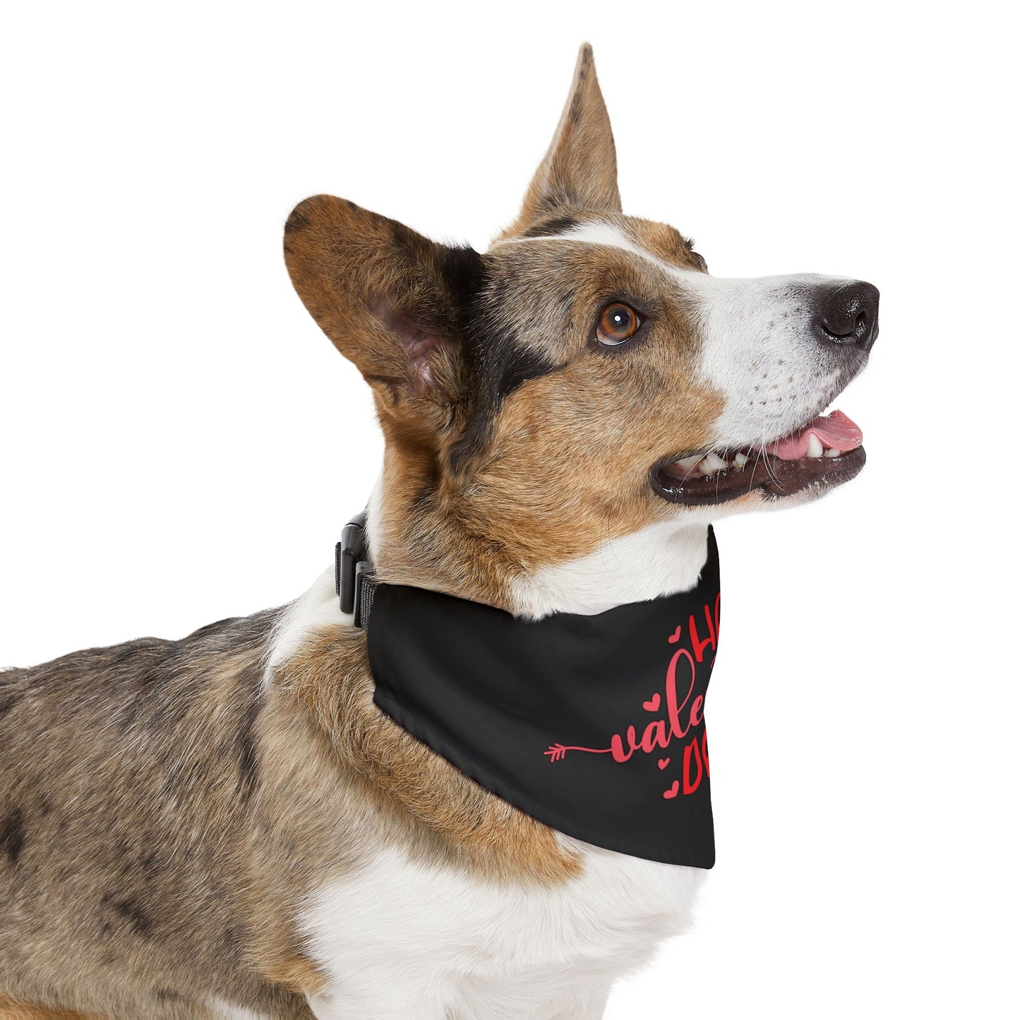 Happy Valentine's Day Dog Bandana Collar