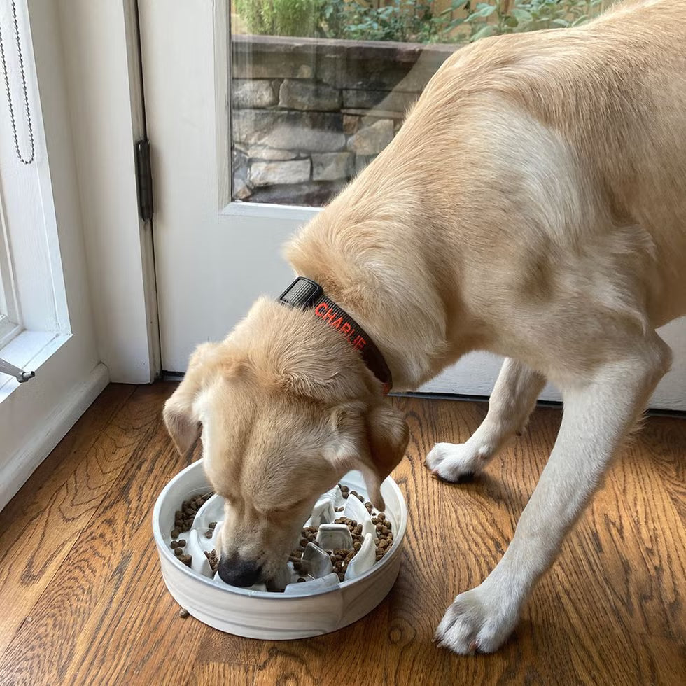 Feeding Bowls