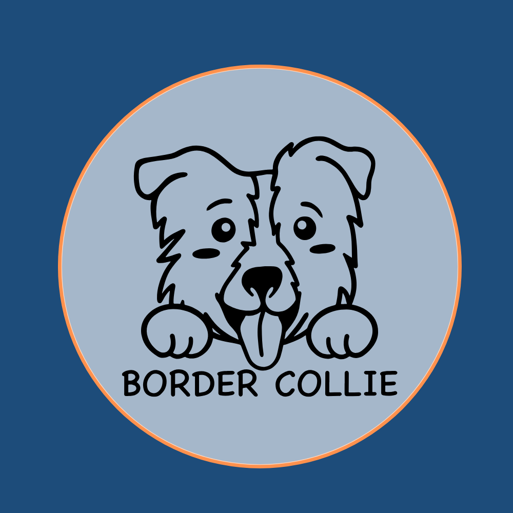 Professional Border Collie breed icon graphic