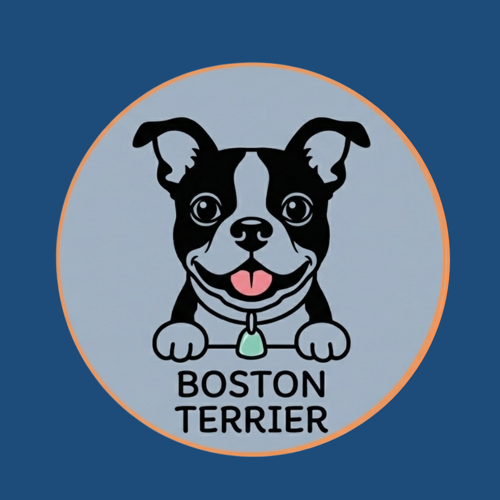 Boston Terrier dog face icon design