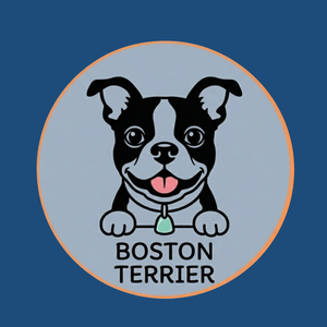 Boston Terrier