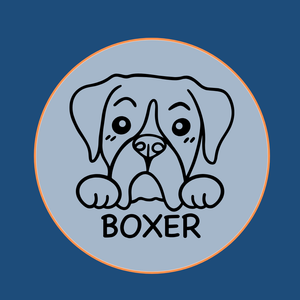 Boxer