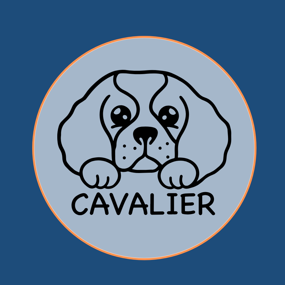 Sweet Cavalier King Charles Spaniel dog icon silhouette