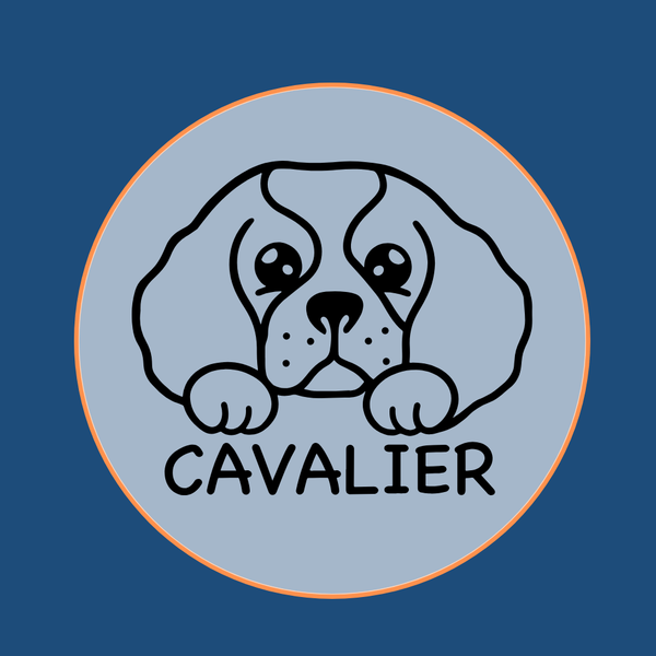 Sweet Cavalier King Charles Spaniel dog icon silhouette