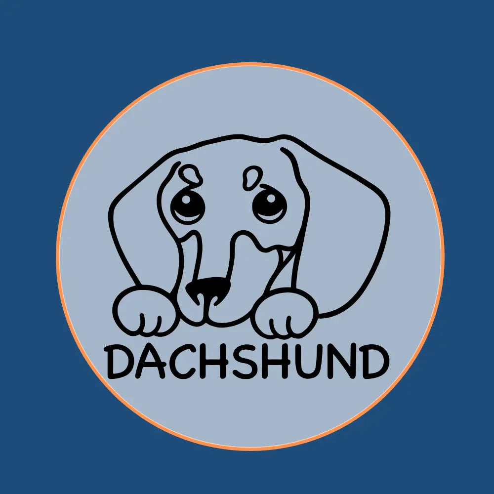 Dachshund