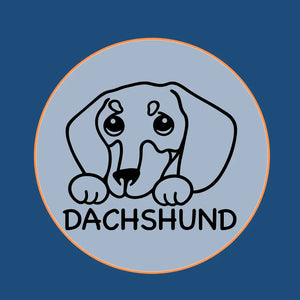 Dachshund