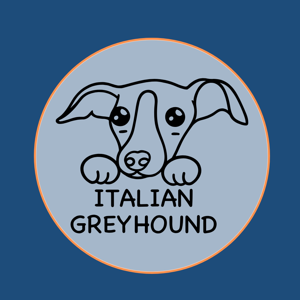 Sleek Italian Greyhound dog breed icon graphic