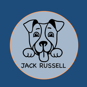 Jack Russell Terrier