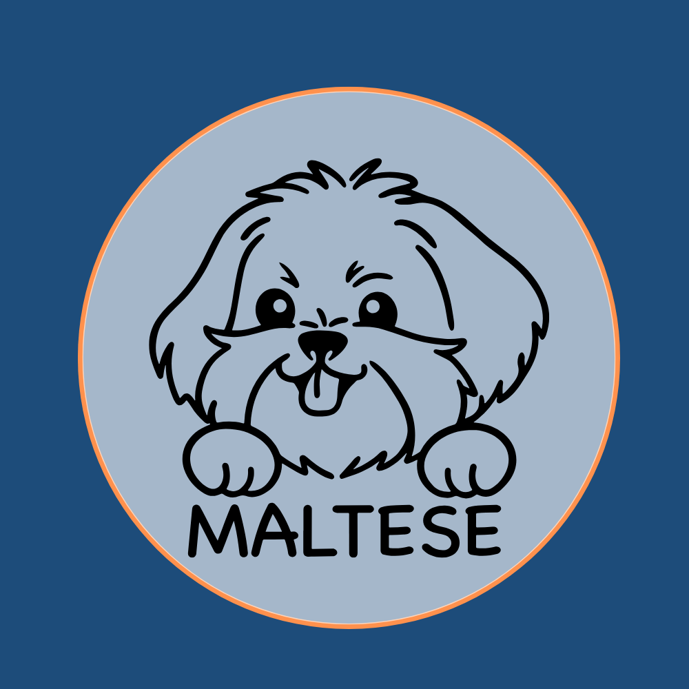 White Maltese dog breed icon