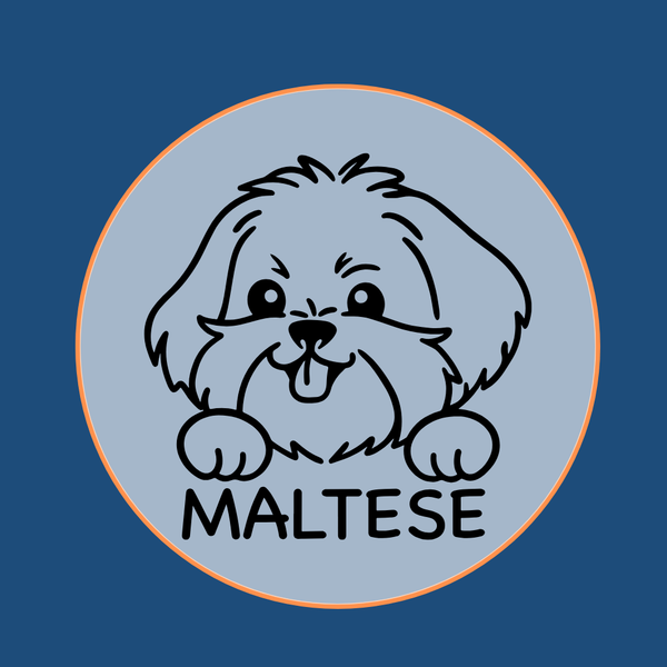 White Maltese dog breed icon