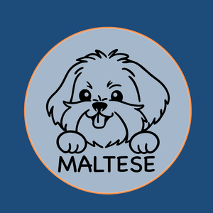 Maltese
