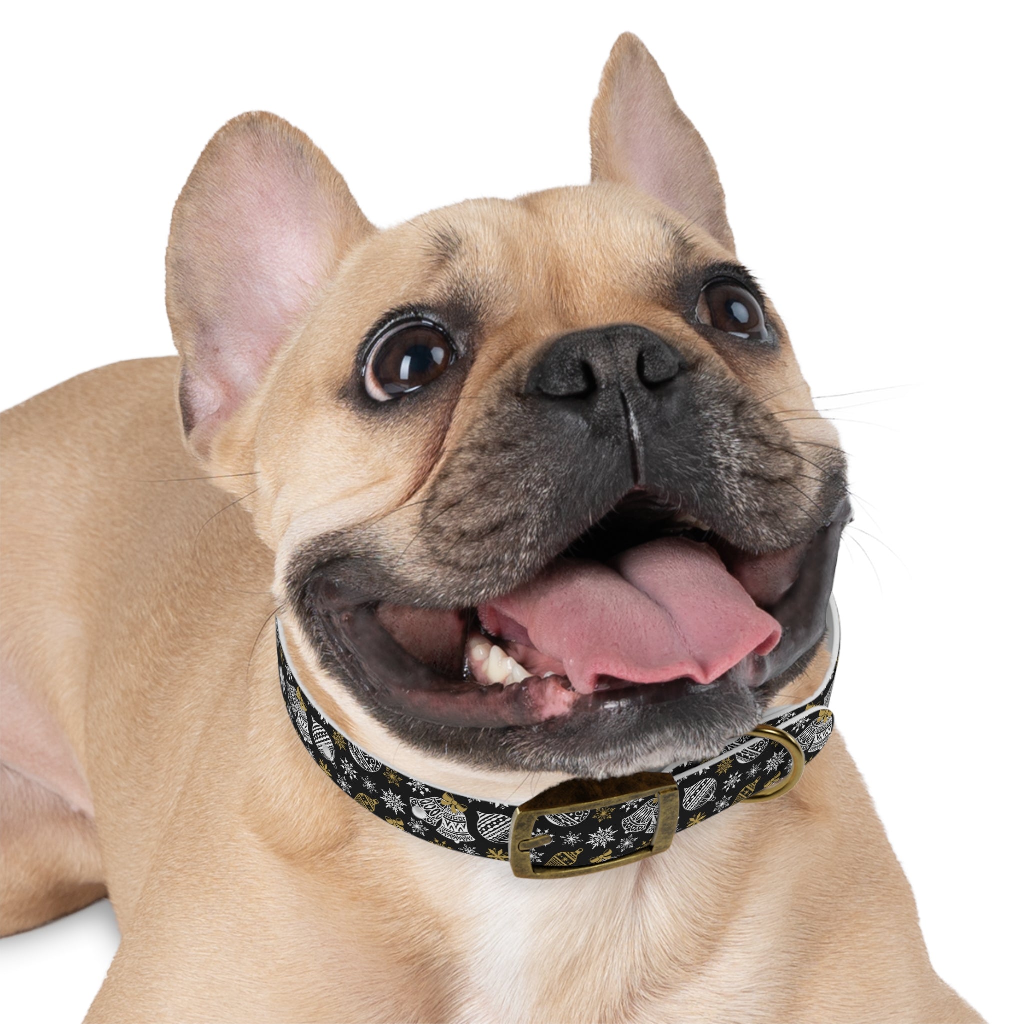 Holiday Ornament Dog Collar — Black & Gold Christmas Pattern