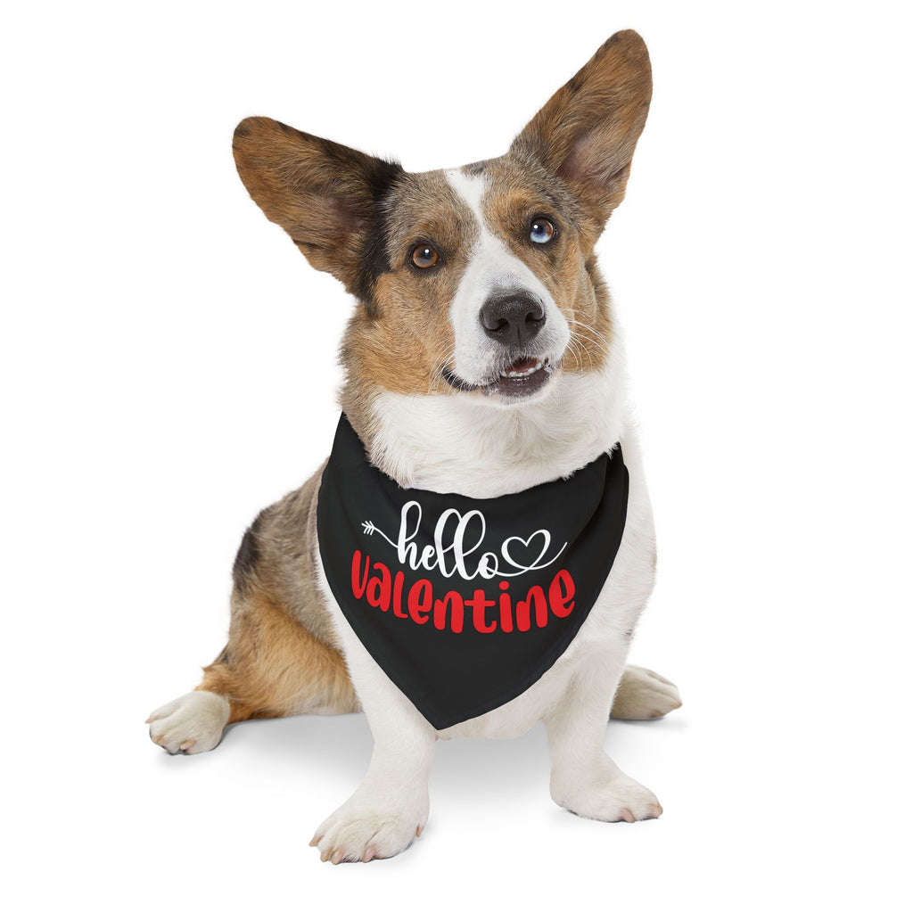 Hello Valentine Dog  Bandana Collar