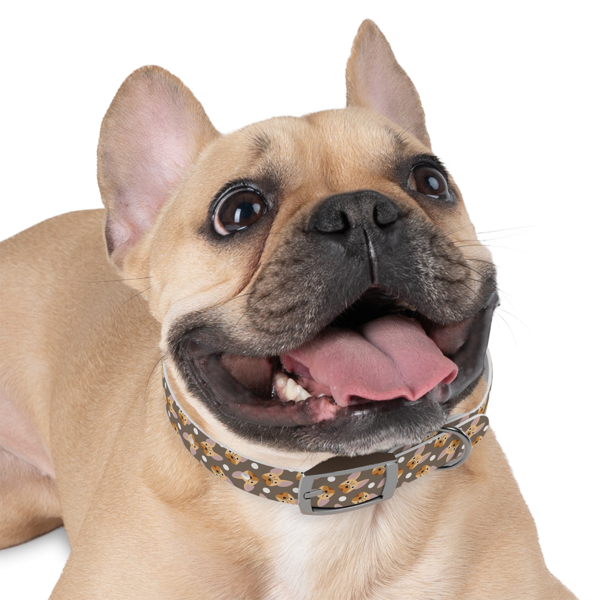French Bulldog Dog Collar