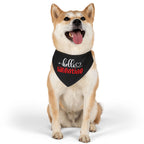 Hello Valentine Dog  Bandana Collar