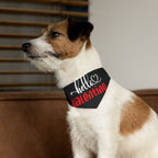 Hello Valentine Dog  Bandana Collar