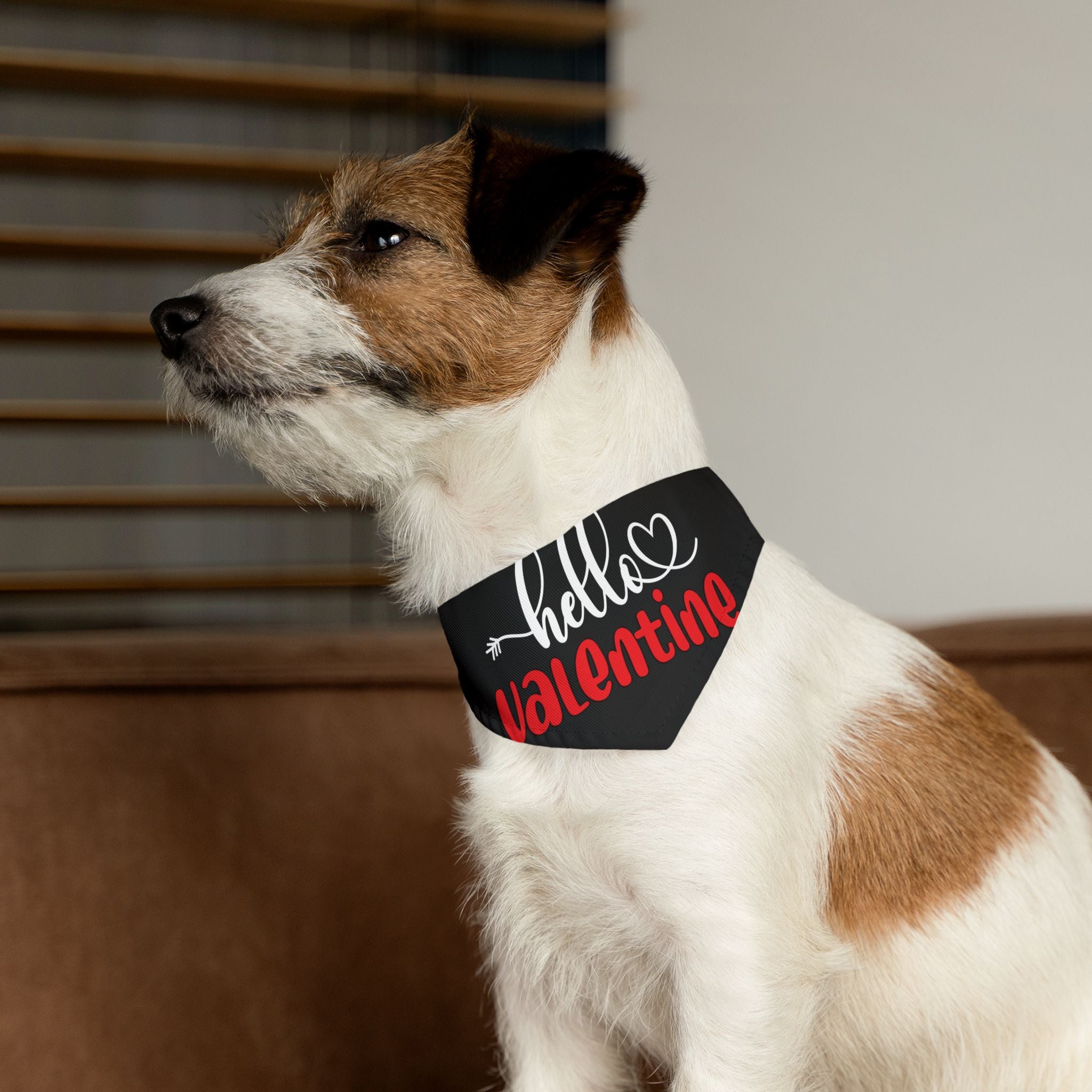 Hello Valentine Dog  Bandana Collar