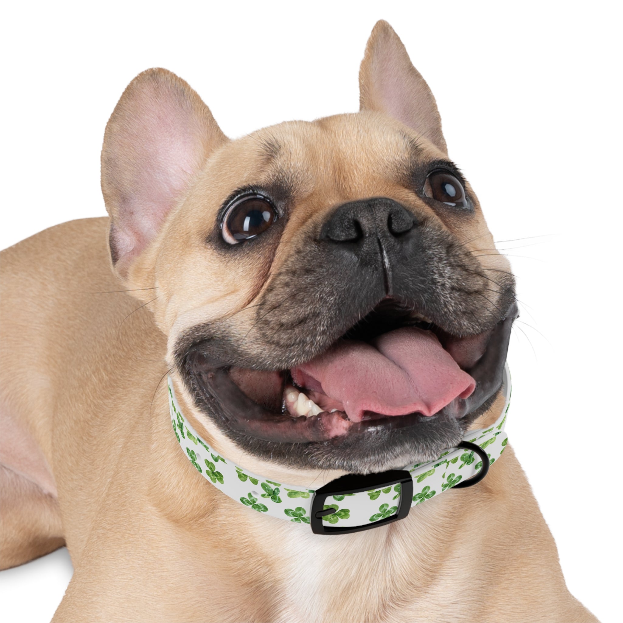 St Patrick's Day Clovers Dog Collar