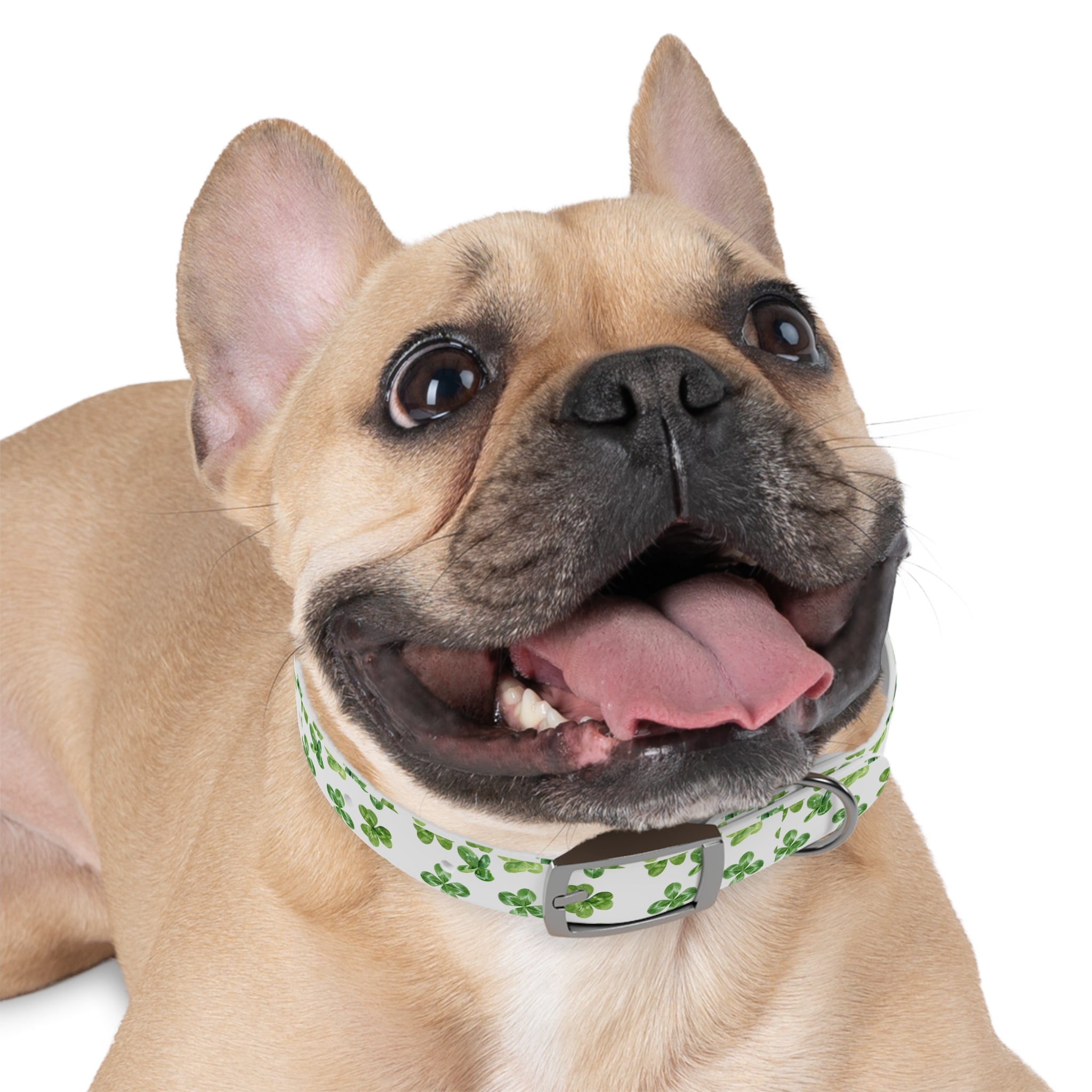 St Patrick's Day Clovers Dog Collar