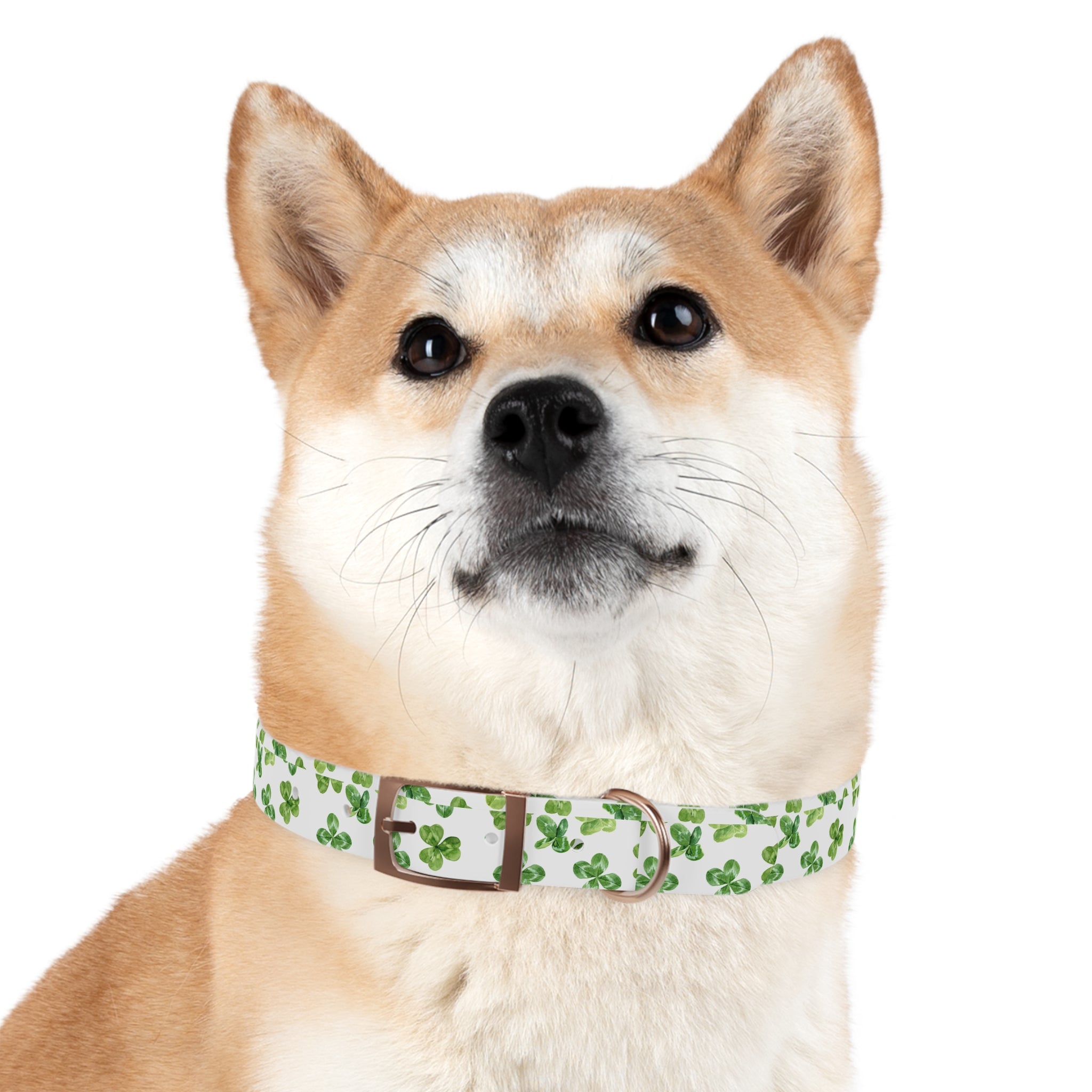 St Patrick's Day Clovers Dog Collar