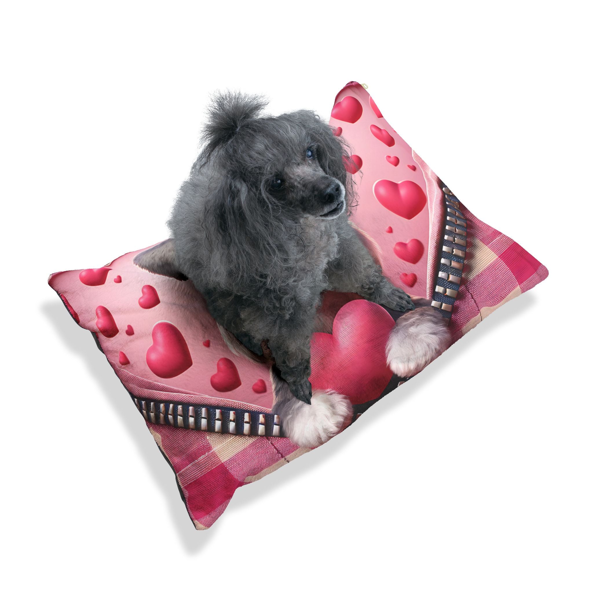 Schnauzer Valentine's Dog Bed