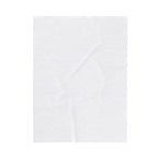 Golden Retriever Labrador Dog Blanket