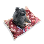 Chihauhau Valentine's Dog Bed