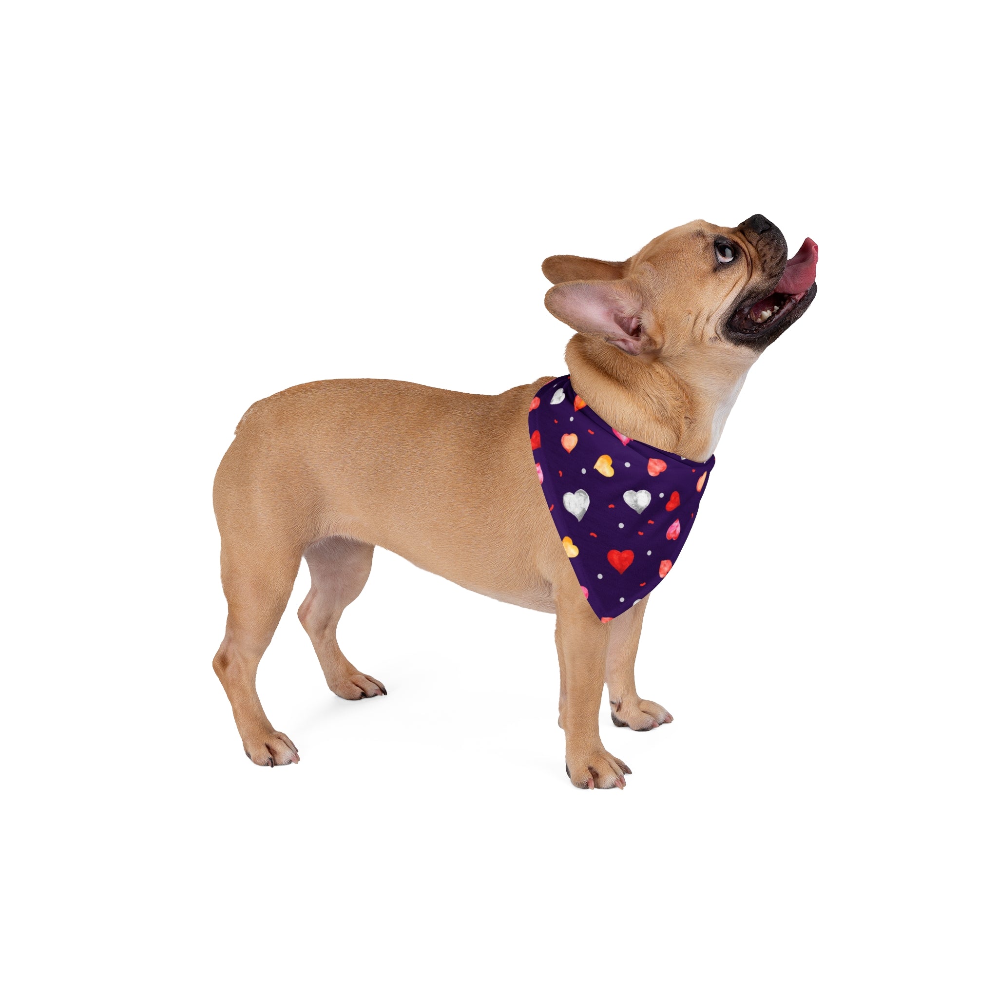 Valentine Hearts Dog Bandana