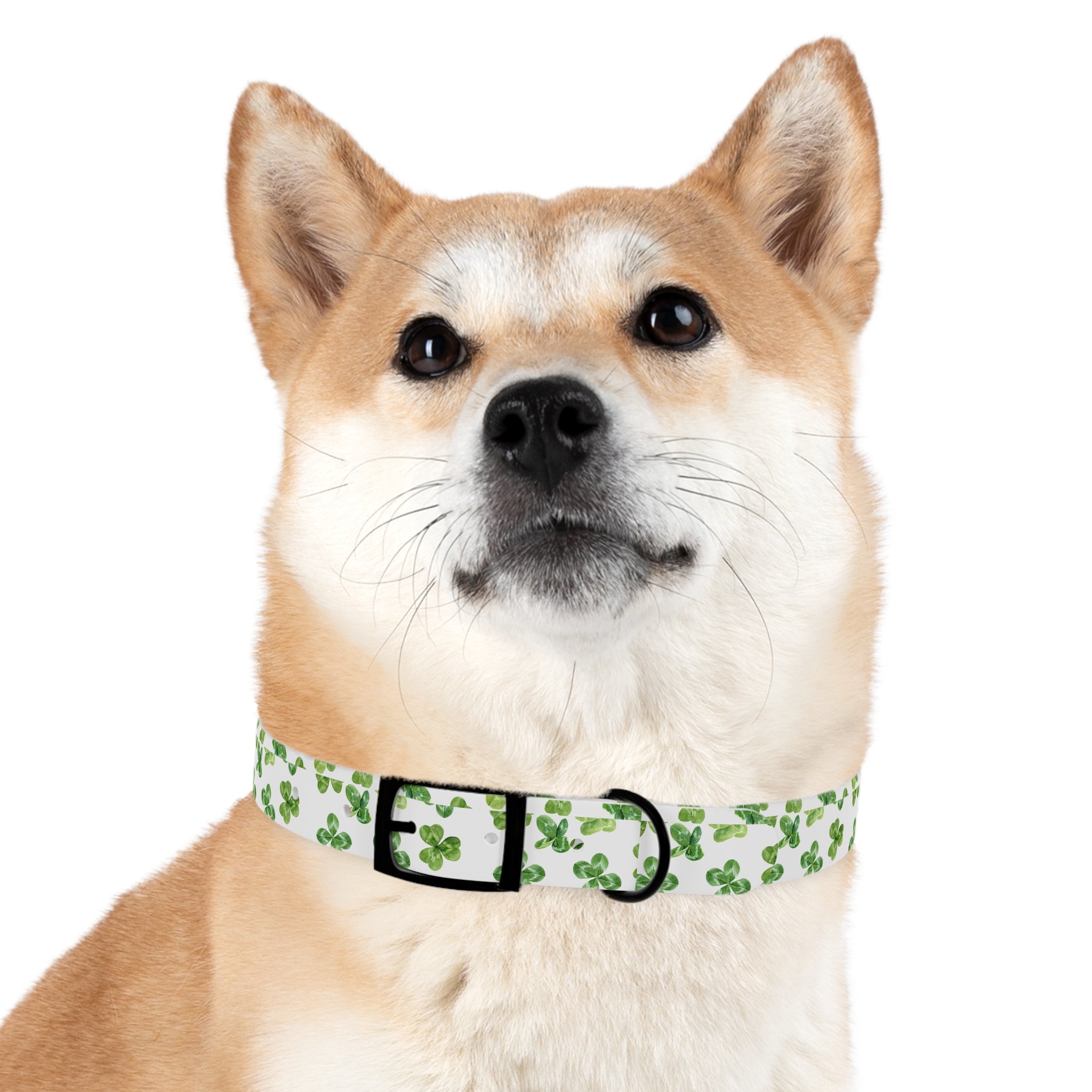 St Patrick's Day Clovers Dog Collar