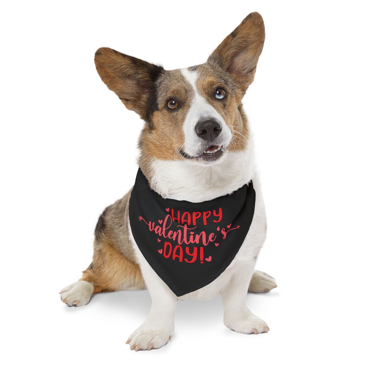 Happy Valentine's Day Dog  Bandana Collar