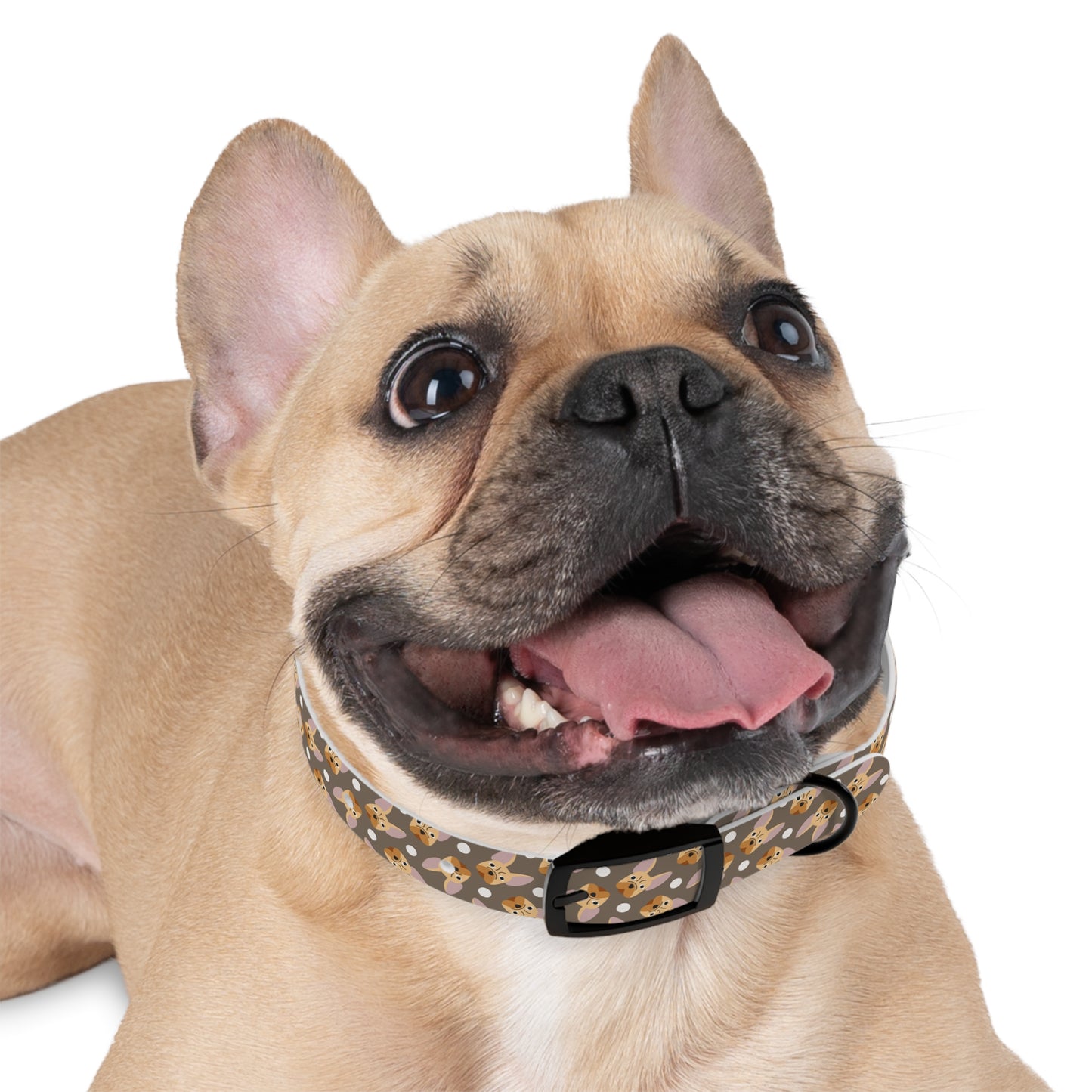 French Bulldog Dog Collar