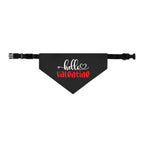 Hello Valentine Dog  Bandana Collar
