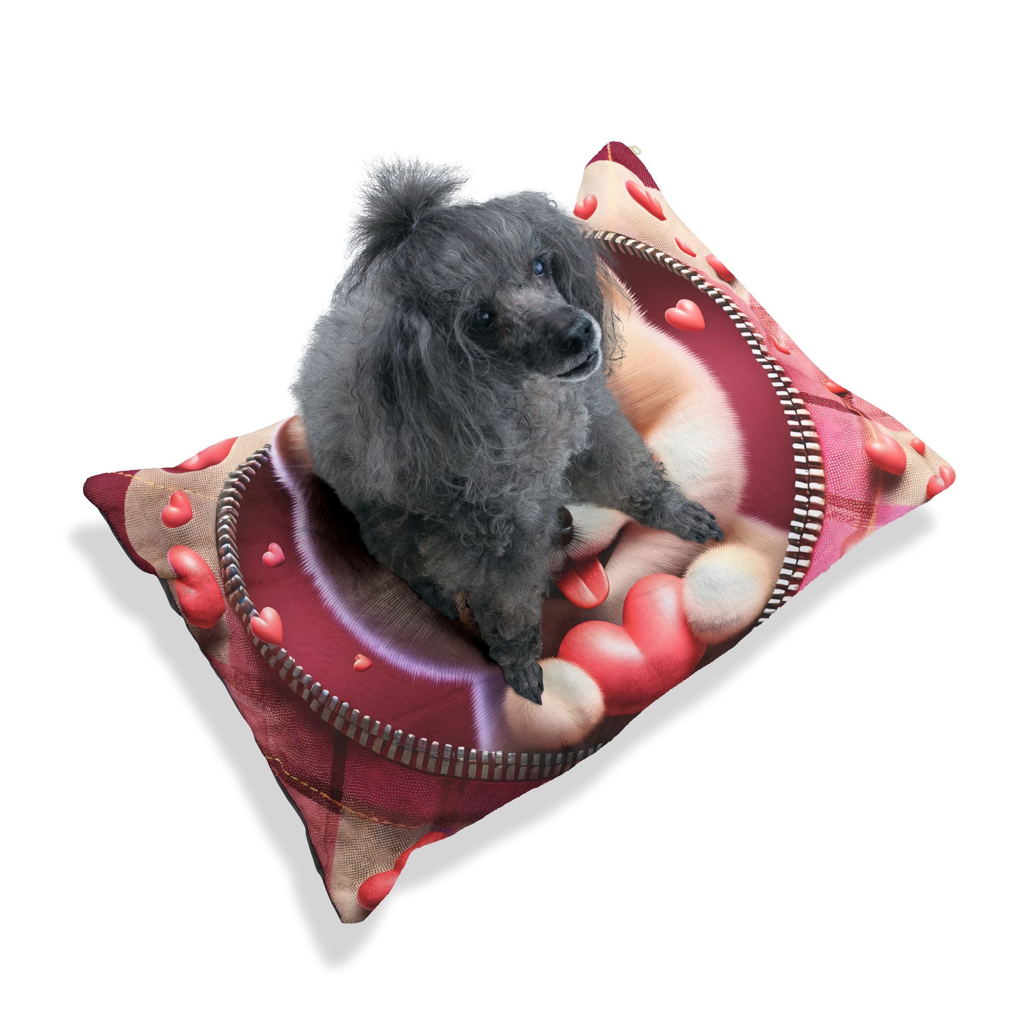 Pomeranian Valentine's Dog Bed