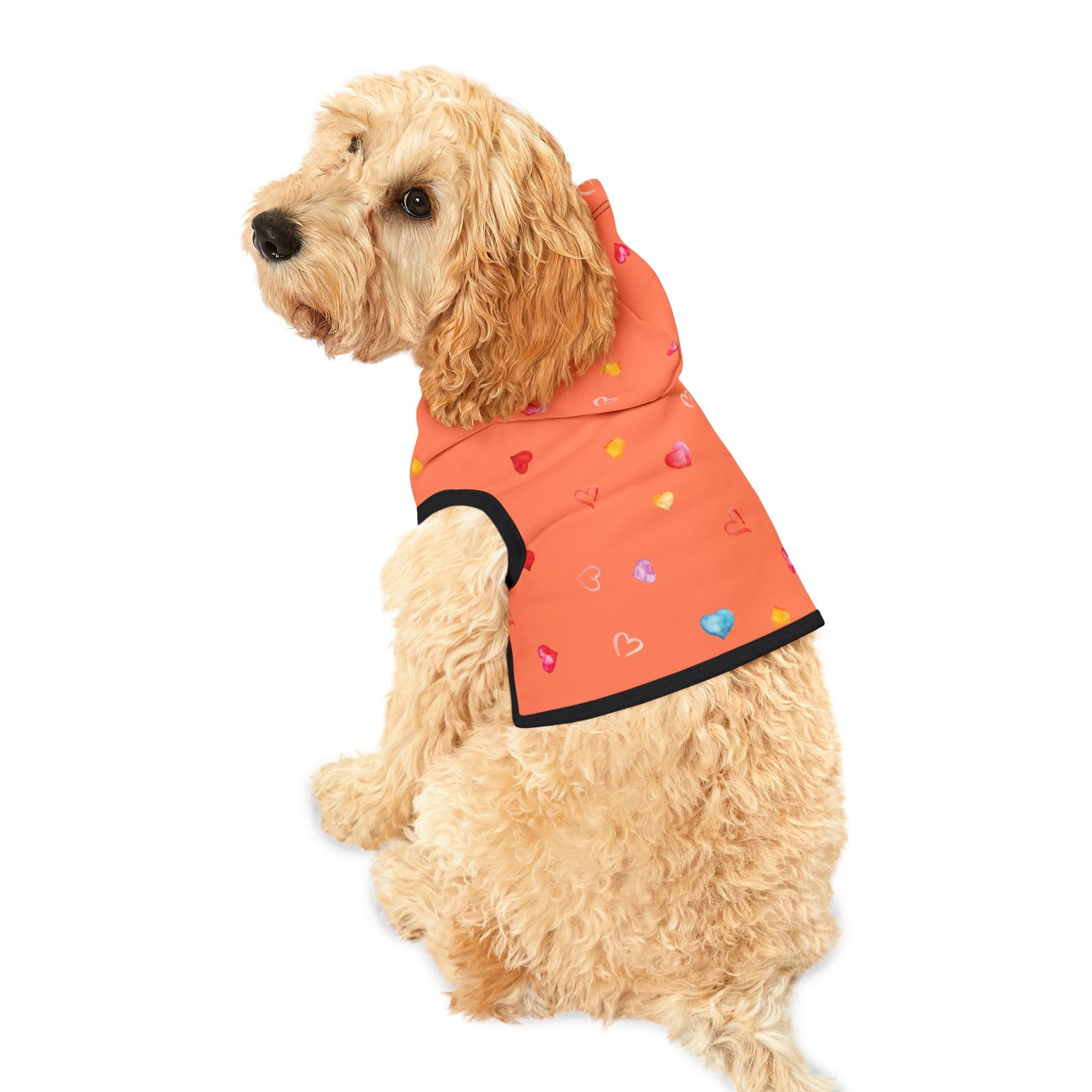 Love Hearts Dog Hoodie