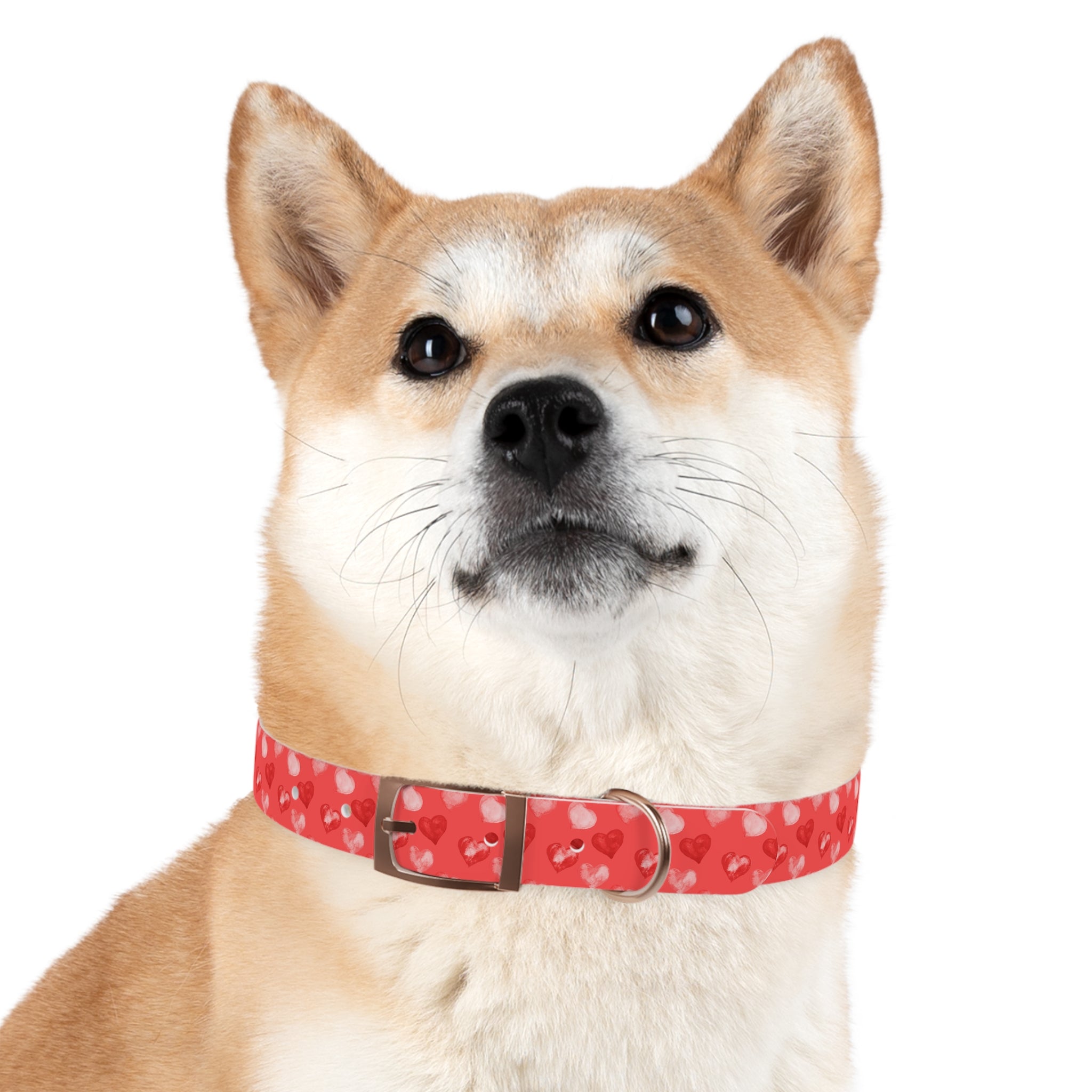 Valentine's Day Hearts Dog Collar