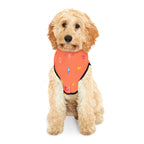 Love Hearts Dog Hoodie