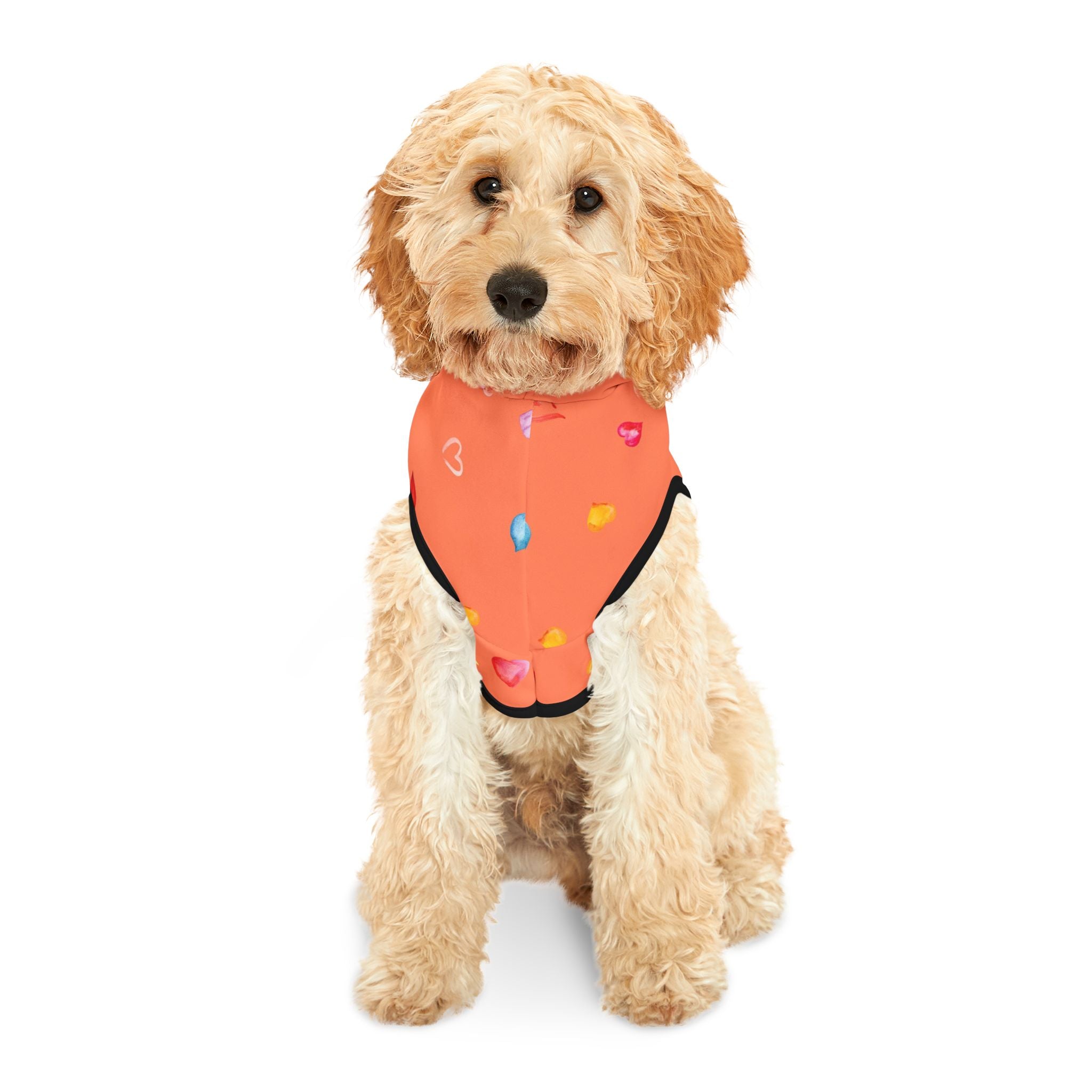 Love Hearts Dog Hoodie