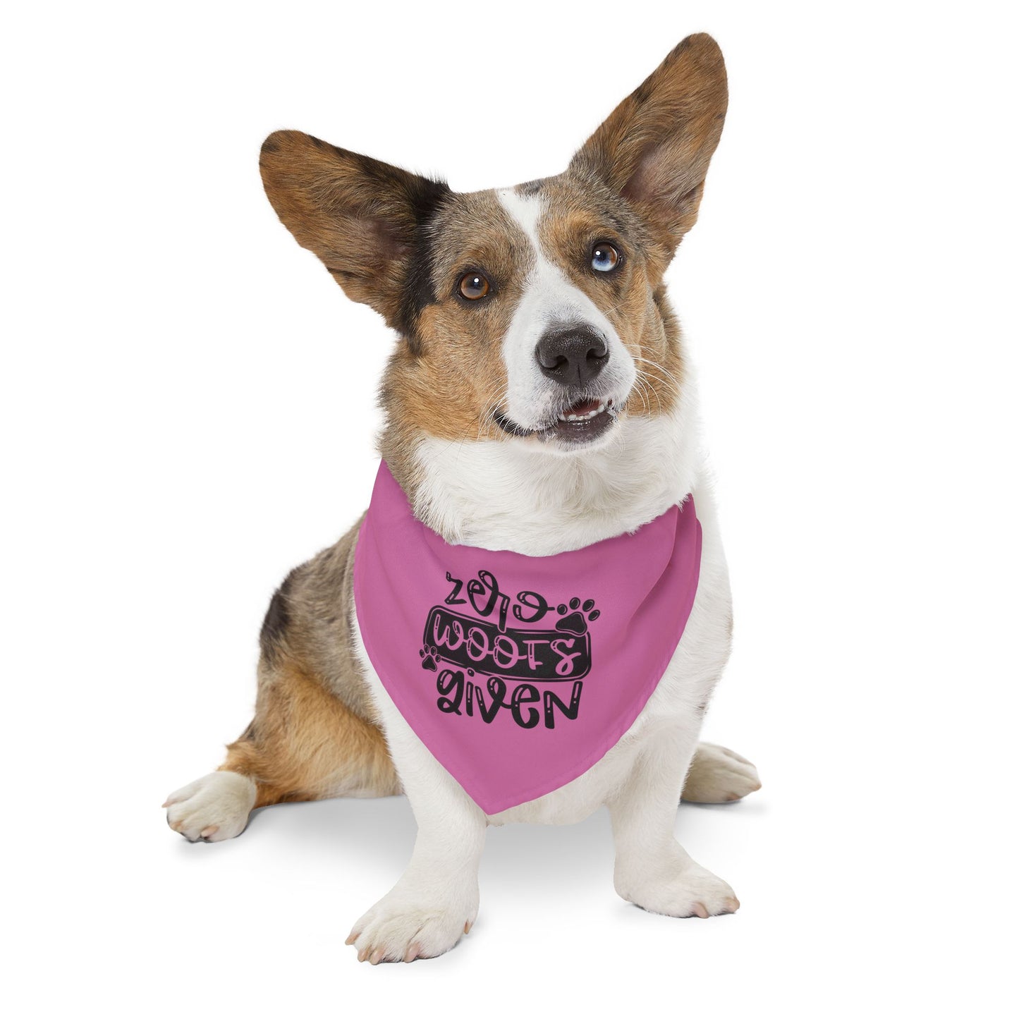 Zero Woofs Given Pet Bandana Collar