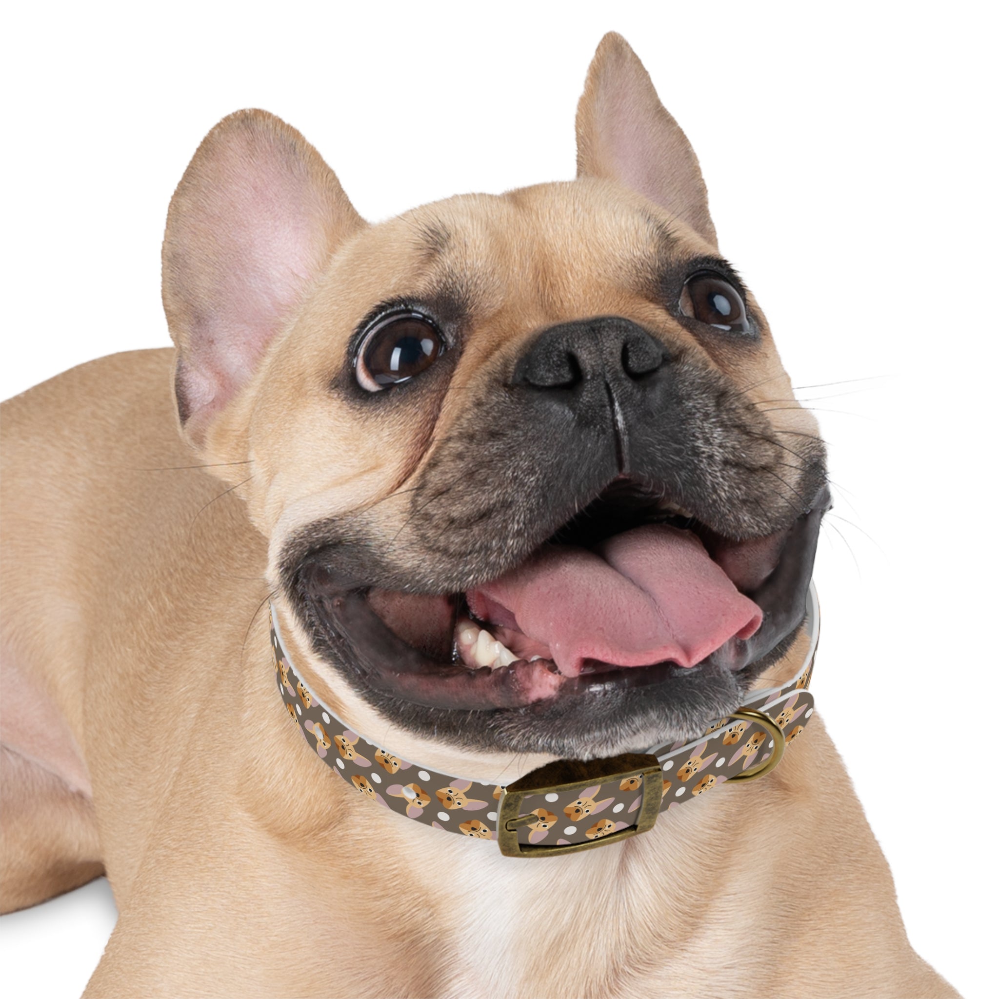 Bulldog Dog Collar