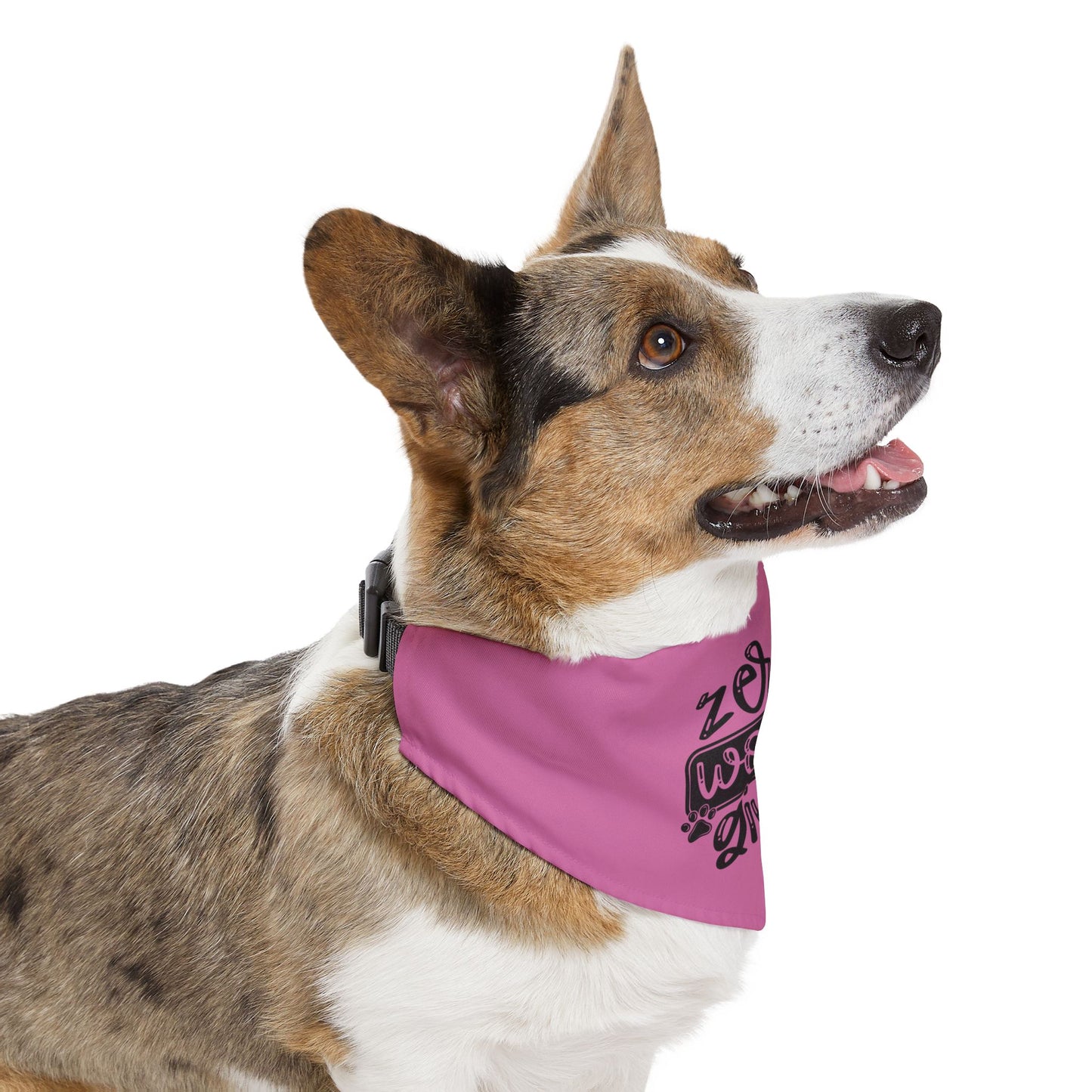 Zero Woofs Given Pet Bandana Collar