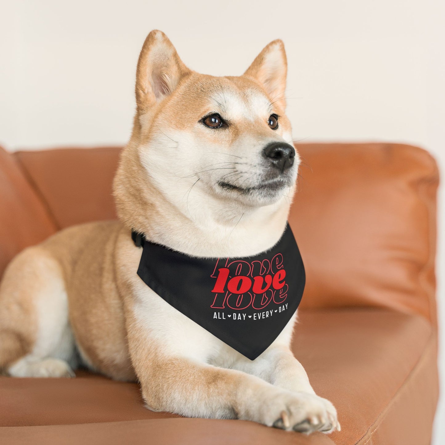 Love Love Love All Day Every Day Dog  Bandana Collar