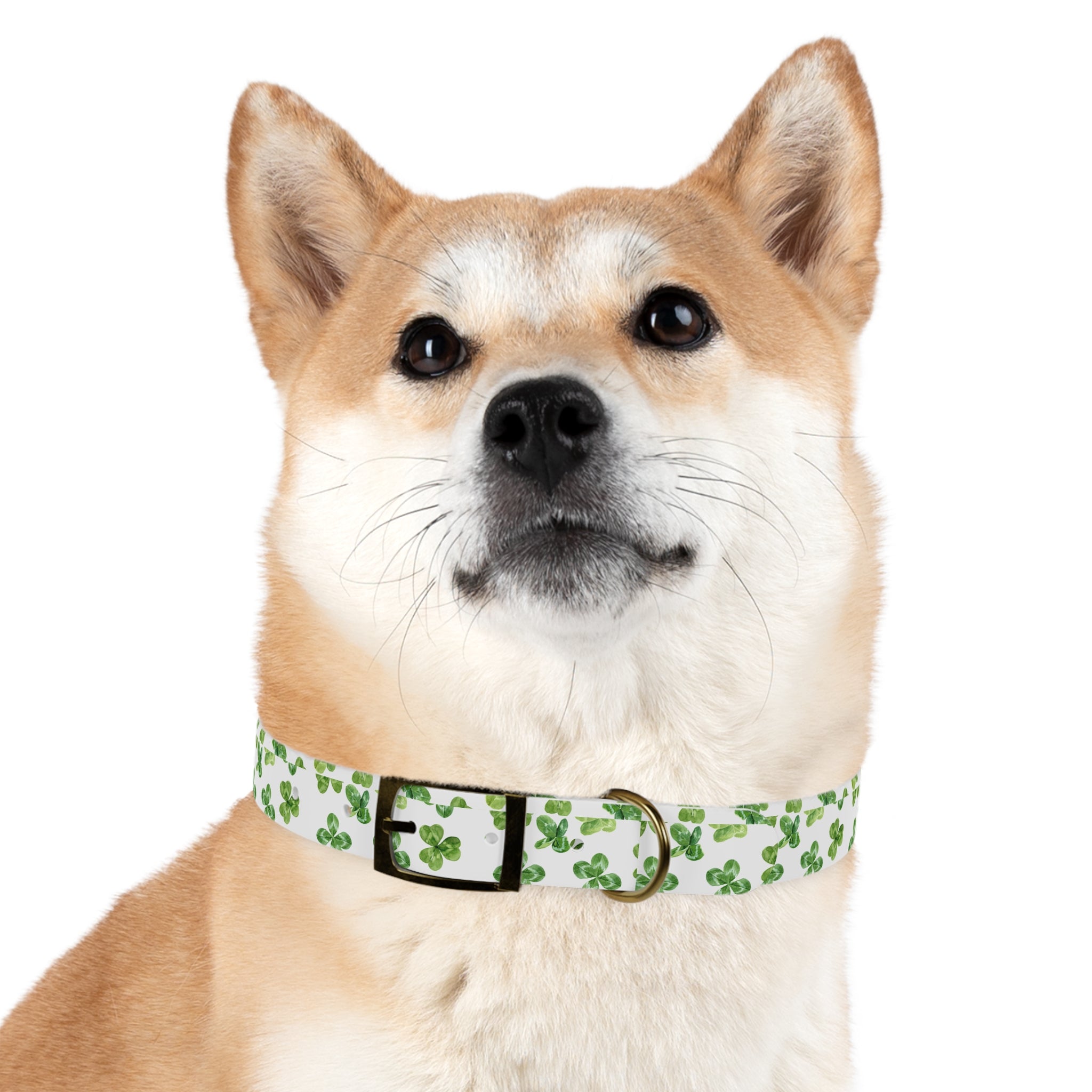 St Patrick's Day Clovers Dog Collar
