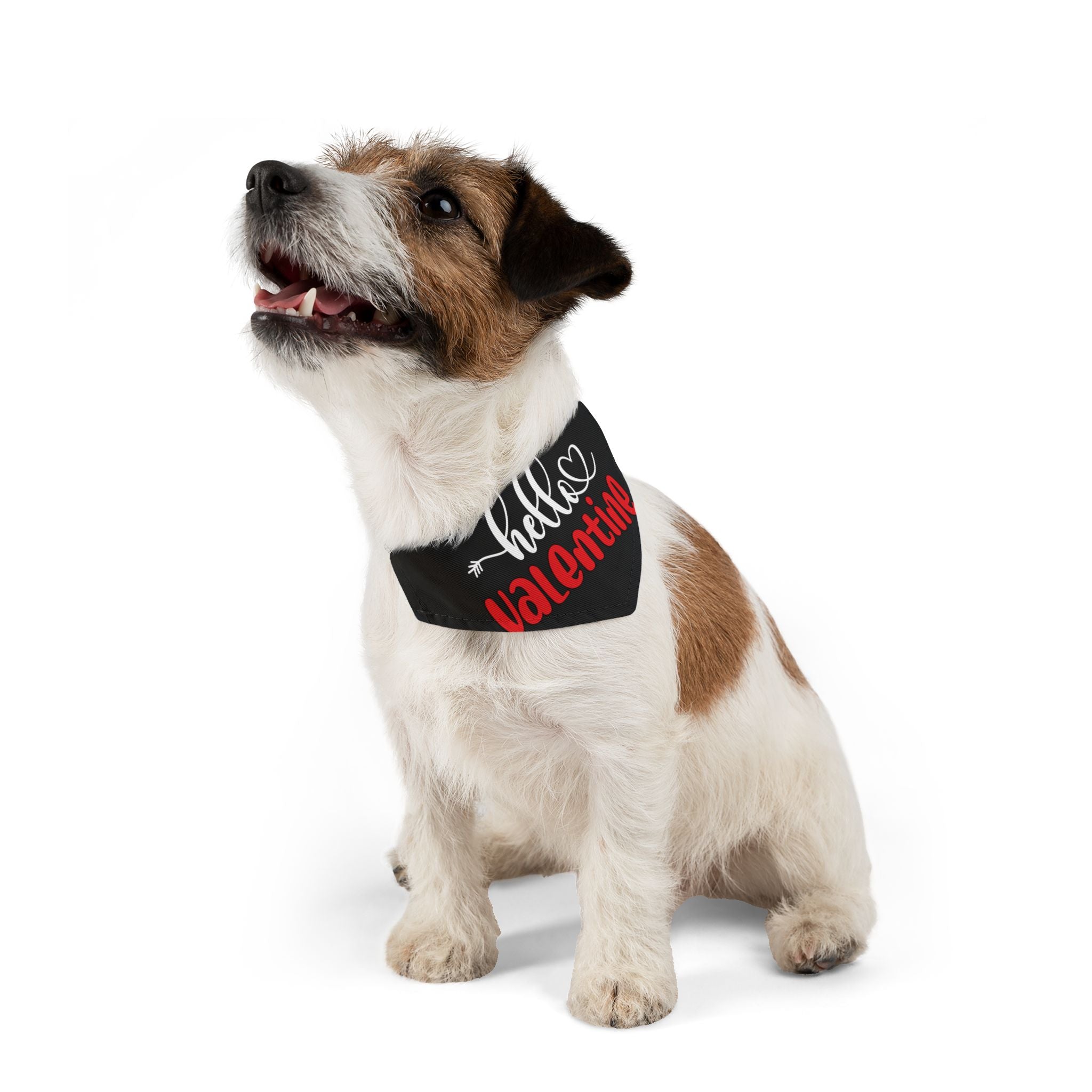 Hello Valentine Dog  Bandana Collar