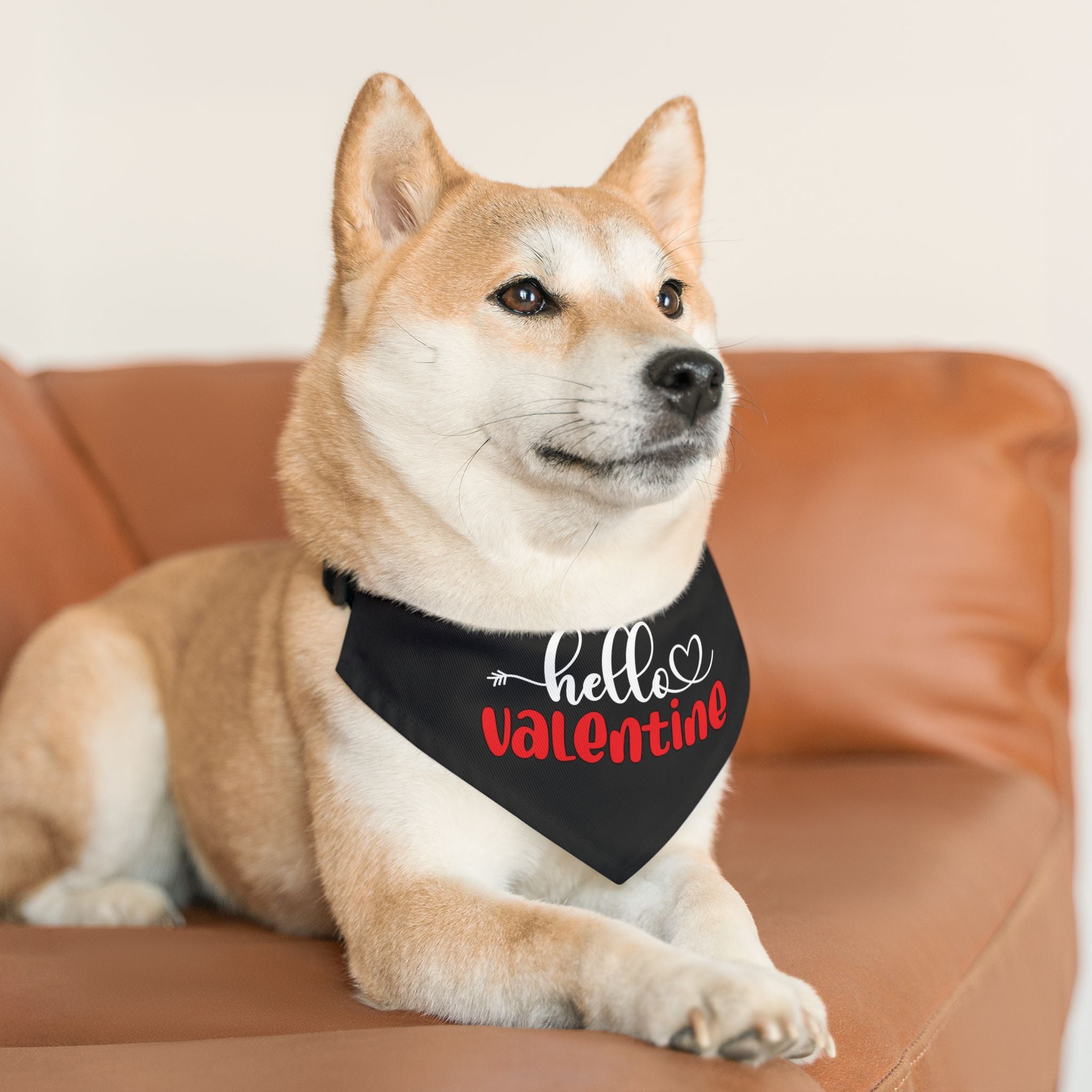 Hello Valentine Dog  Bandana Collar