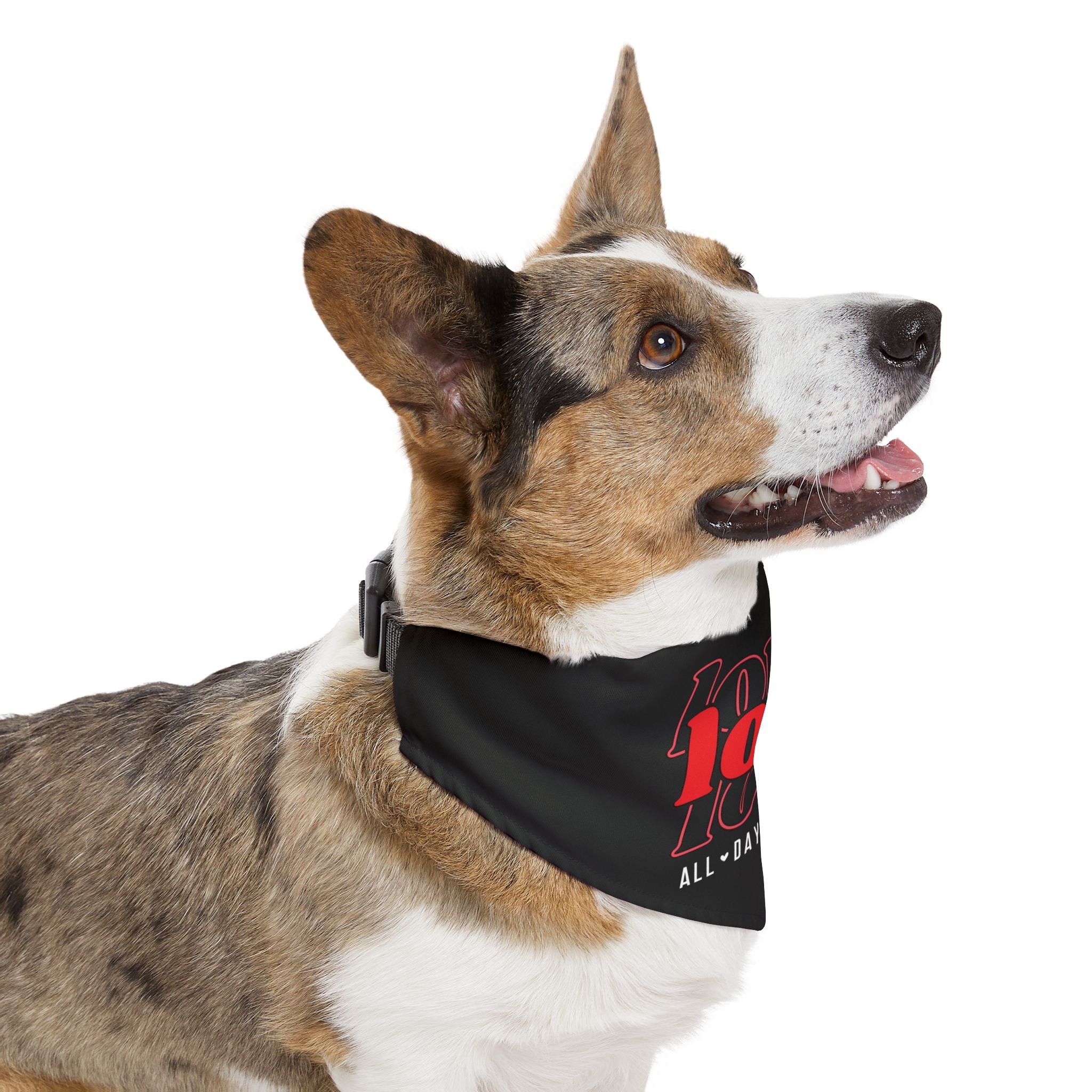 Love Love Love All Day Every Day Dog  Bandana Collar