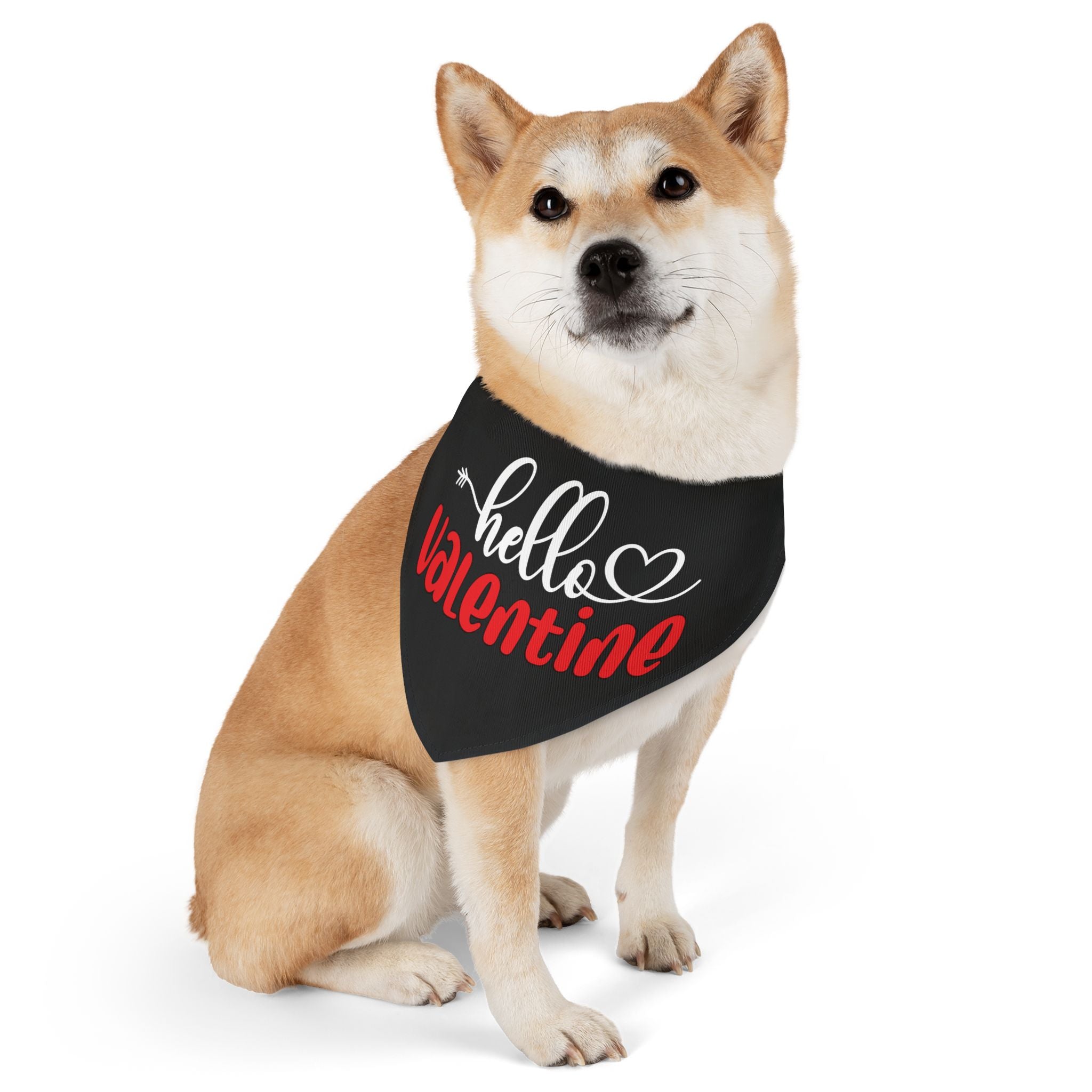 Hello Valentine Dog  Bandana Collar