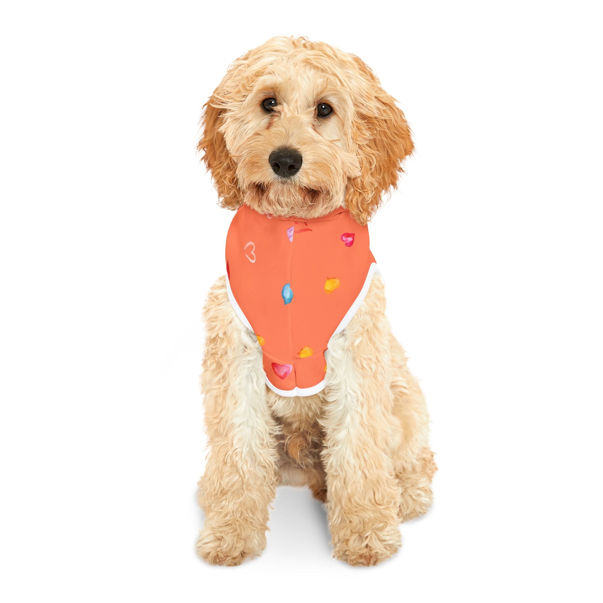 Love Hearts Dog Hoodie