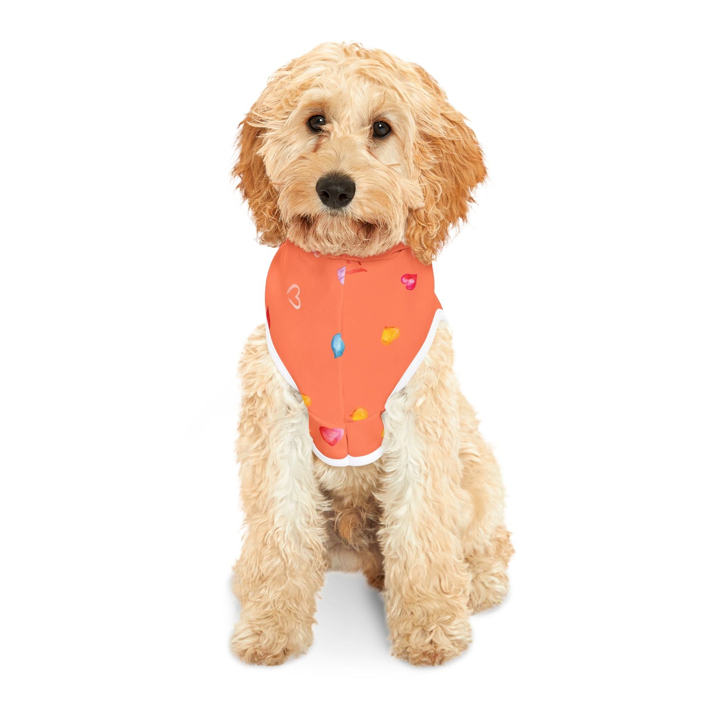 Love Hearts Dog Hoodie