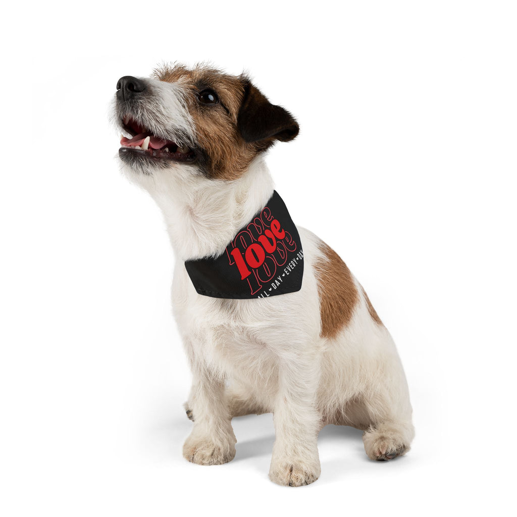Love Love Love All Day Every Day Dog  Bandana Collar